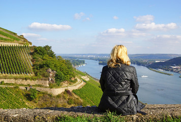 Weinberge am Rhein - Panorama Blick