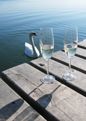 Two champaigne glasses on a wooden jetty against a swan