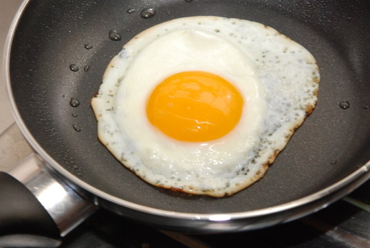 fried egg 