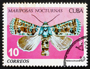Fototapeta premium Postage stamp Cuba 1979 Heterochroma, Nocturnal Butterfly