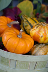 Pumpkins In Basket