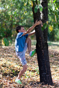 Happy Child Climbing In A Tree