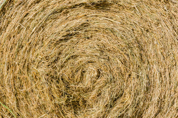Round straw bale with texture for background