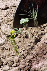 Test tube 테스트 튜브