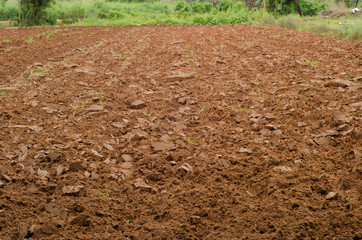 Plowed ground for planting.