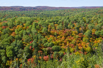 Fall Colors From Lookout Trail in Algonquin Park