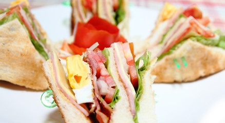Close up sandwich