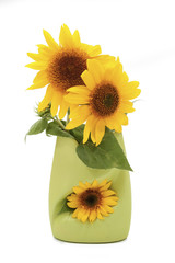 sun flower in vase