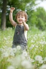 Two-year baby girl in  dandelions