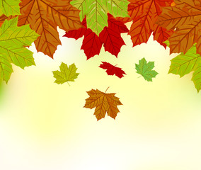 Naklejka na ściany i meble Falling autumn leaves vector background