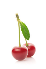 Cherries on White