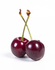 cherry on a white background
