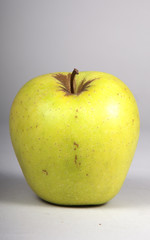 fruit
