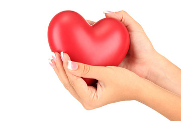 Obraz premium Red heart in woman's hands, on white background close-up