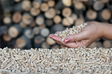 Pellets- biomass