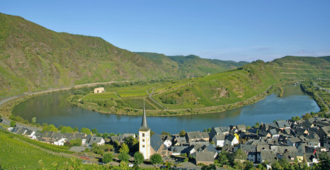 Fototapeta na wymiar słynny Moselle River near Bremm