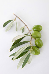 green olive