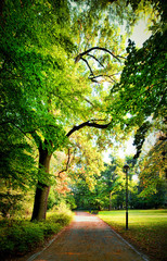 Park in autumn time - obrazy, fototapety, plakaty