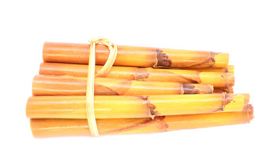 bamboo shoot
