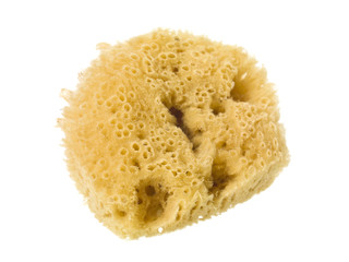 sponge scrubber