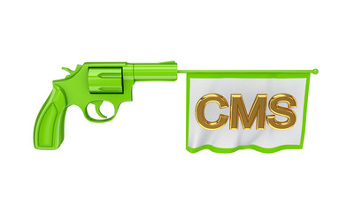 White flag with golden word CMS.