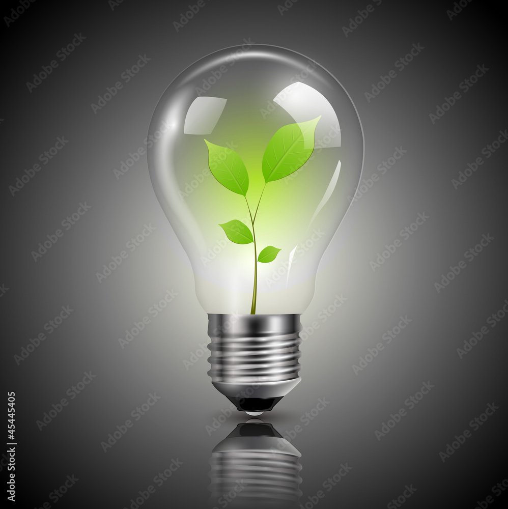 Wall mural light bulb with green sprout inside, vector.