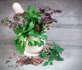 Fresh herbs collection