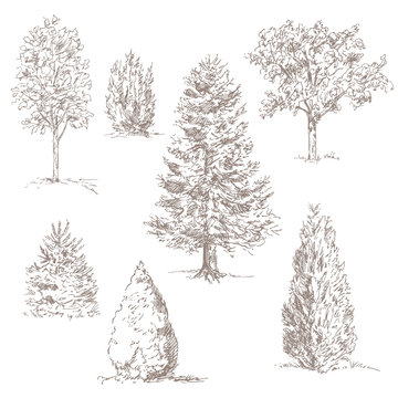 hand drawn trees isolated on white