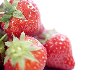 Fresh Strawberry
