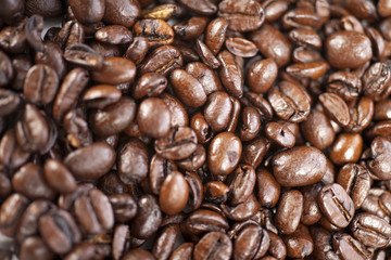 Fresh coffee beans