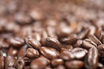 Fresh coffee beans