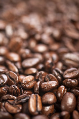 Fresh coffee beans