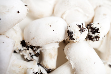 Fresh mushrooms