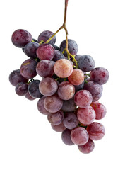 red grapes