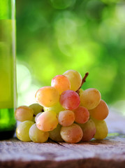 Ripe grapes on green background