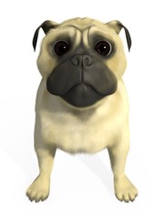 3D pug