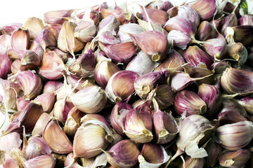Garlic on the white background