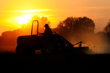 Fototapeta premium tractor sunset