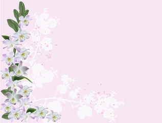 Obraz na płótnie Canvas light lilac orchids corner on pink