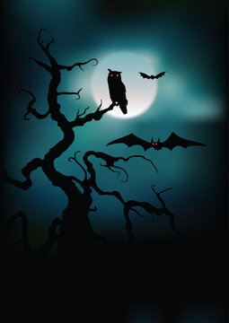 Halloween illustration owl on moon background
