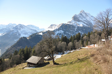 Ortstock mount 2717m. Braunwald, Switzerland