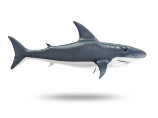 3d Shark isolated on white background