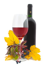 Wein - 002 - Rotwein - Glas - Herbst