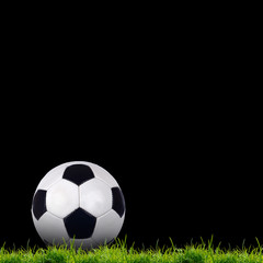 Fototapeta premium soccer ball on the green grass
