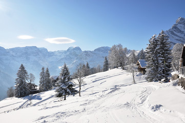 Fototapeta na wymiar Alpine scenery, Braunwald, Szwajcaria