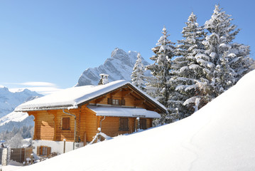 Alpine scenery. Switzerland