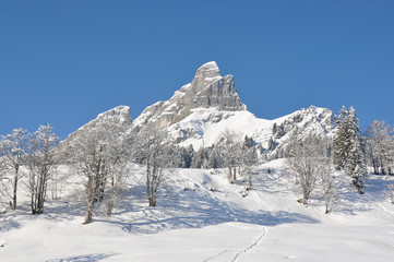 Fototapeta na wymiar Alpine scenery, Braunwald, Switzerland