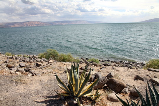 Israel, Sea of Galilee from Capernaum Ruins