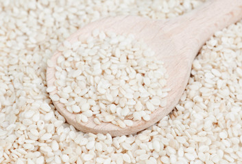 sesame  and  spoon, macro