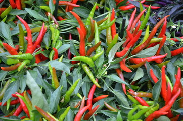 Peperoncino
